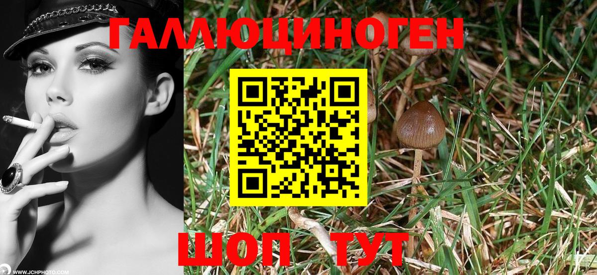 Трёхгорный  Галлюциногенные грибы прущие грибы  Псилоцибиновые грибы MAGIC MUSHROOMS  Вход с VPN 